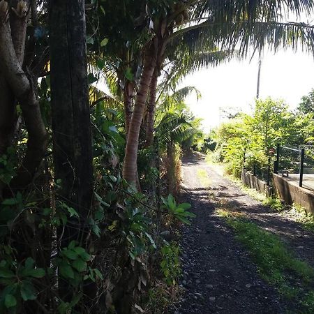Location Saisonniere Le Clos Des Agrumes Sainte Anne Buitenkant foto